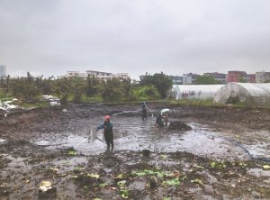 北海河道鱼塘清淤